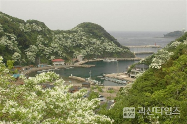 한국전망대에서 내려다본 와니우라 포구 마을.