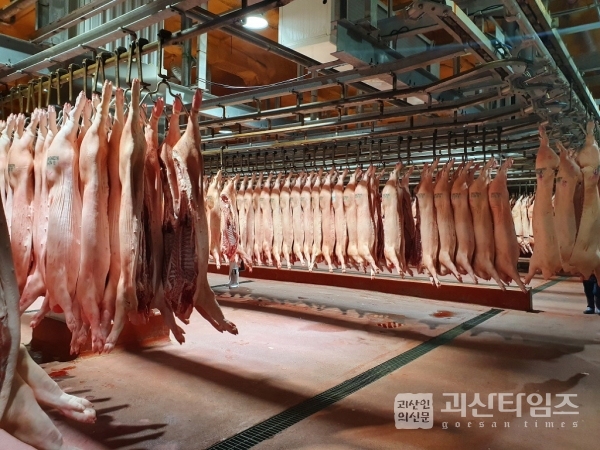 충북도, 돼지고기 대규모 홍콩 수출 본격 시작